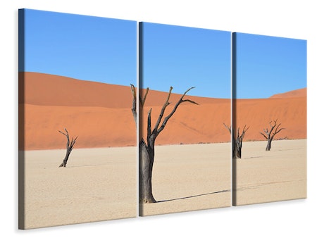 Ljuddämpande tavla -  Sossusvlei Namibia
