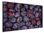 Ljuddämpande tavla -  Fresh plums
