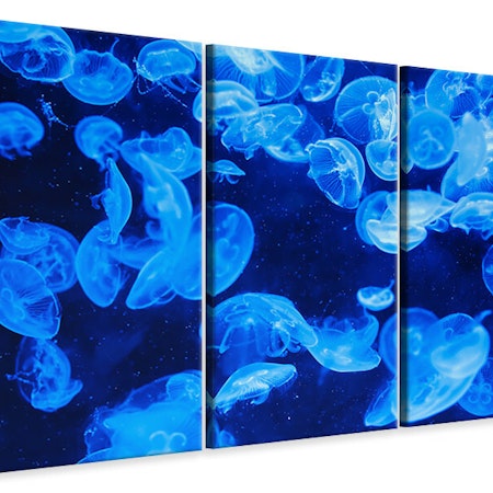 Ljuddämpande tavla -  Many jellyfish in the blue water