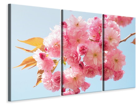 Ljuddämpande tavla -  The cherry blossoms