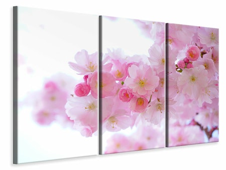 Ljuddämpande tavla -  Japanese cherry blossom XL