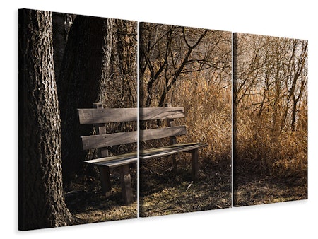 Ljuddämpande tavla -  Wooden bench in the forest