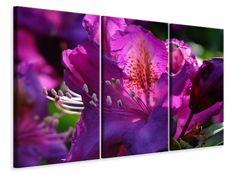 Ljuddämpande tavla -  The rhododendron