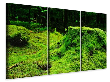 Ljuddämpande tavla -  Moss in the forest