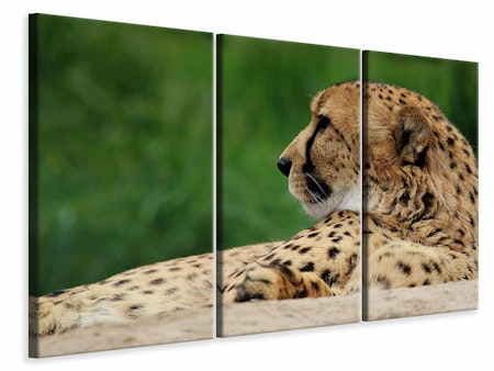 Ljuddämpande tavla -  XL cheetah