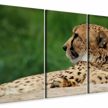 Ljuddämpande tavla -  XL cheetah