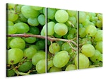 Ljuddämpande tavla -  Green grapes