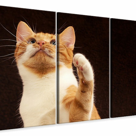 Ljuddämpande tavla -  Attention clever cat