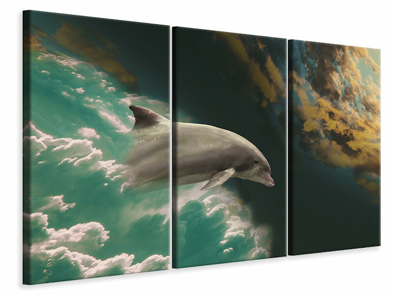 Ljuddämpande tavla -  Fascination dolphin