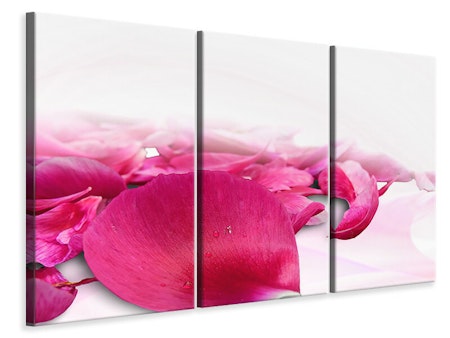 Ljuddämpande tavla -  Rose petals in pink 3