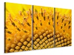Ljuddämpande tavla -  The buds of the sunflower in XXL