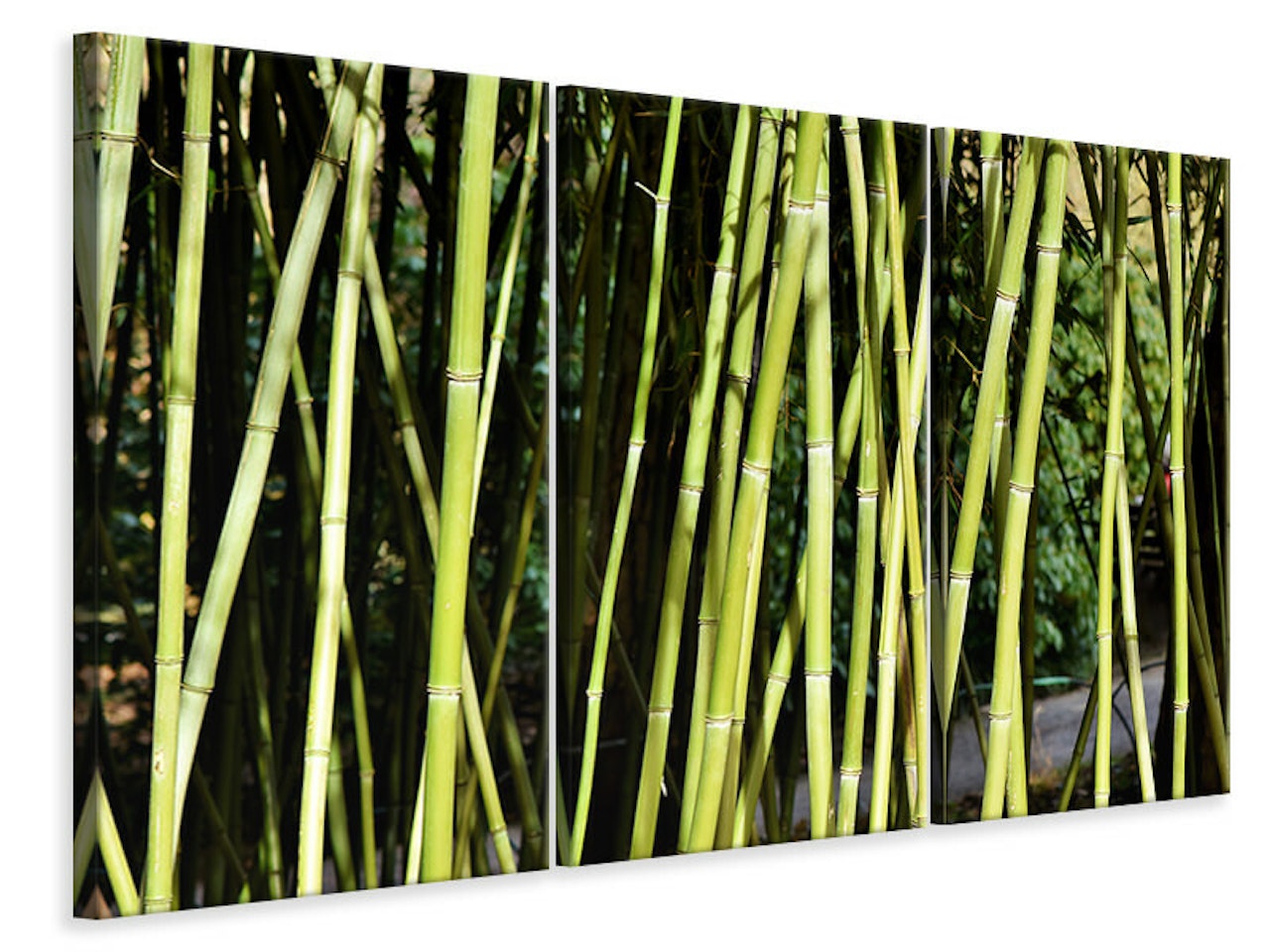Ljuddämpande tavla -  Fresh bamboo