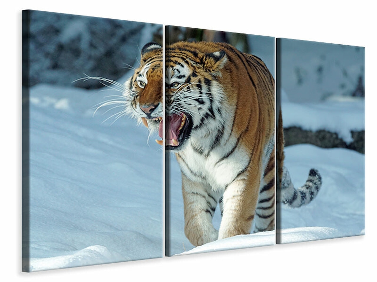 Ljuddämpande tavla -  Tiger in the snow
