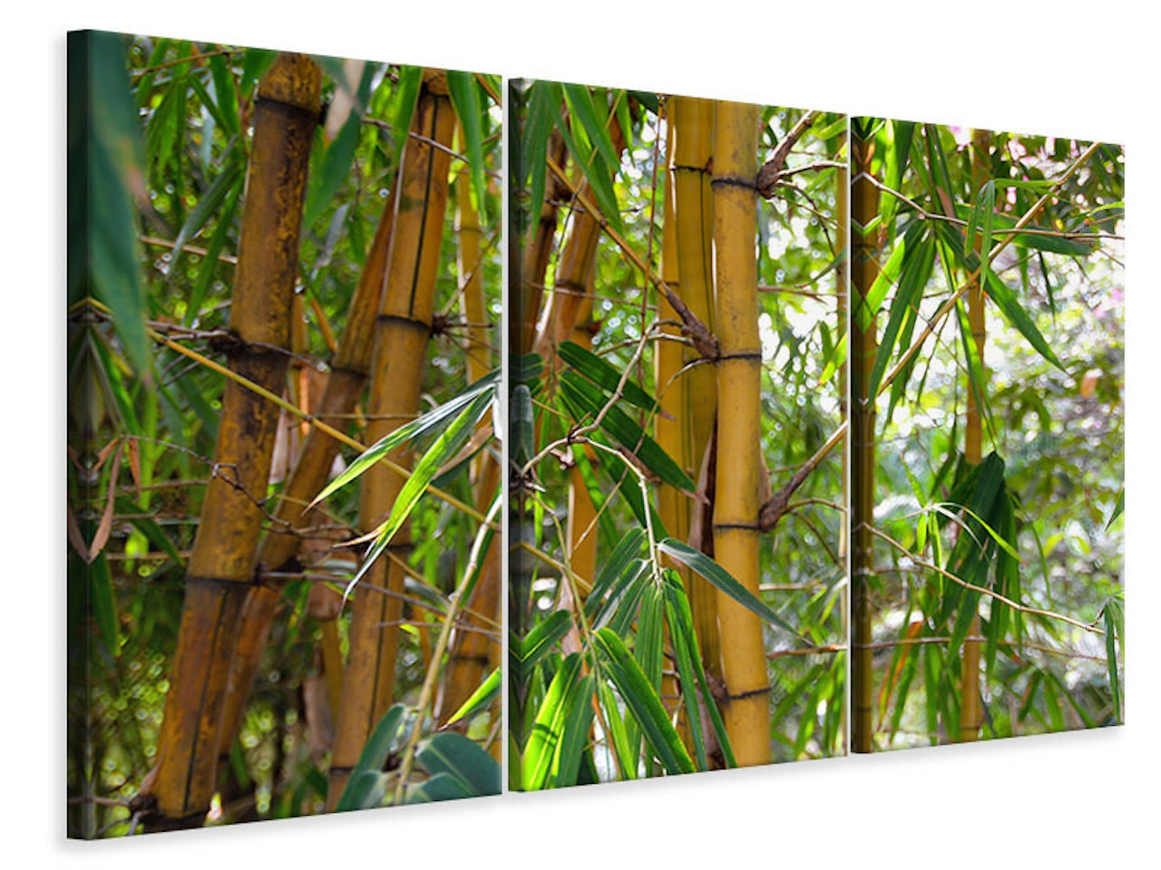 Ljuddämpande tavla -  Wild bamboo