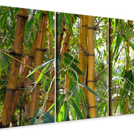 Ljuddämpande tavla -  Wild bamboo