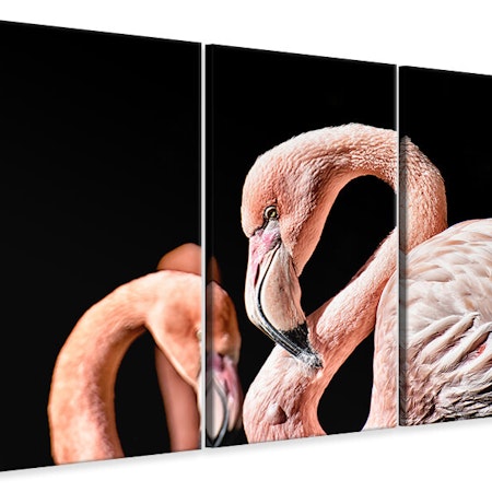 Ljuddämpande tavla -  Magnificent flamingos