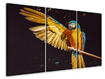 Ljuddämpande tavla -  The macaw