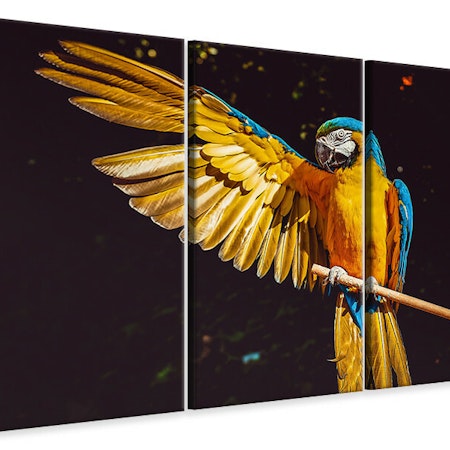 Ljuddämpande tavla -  The macaw