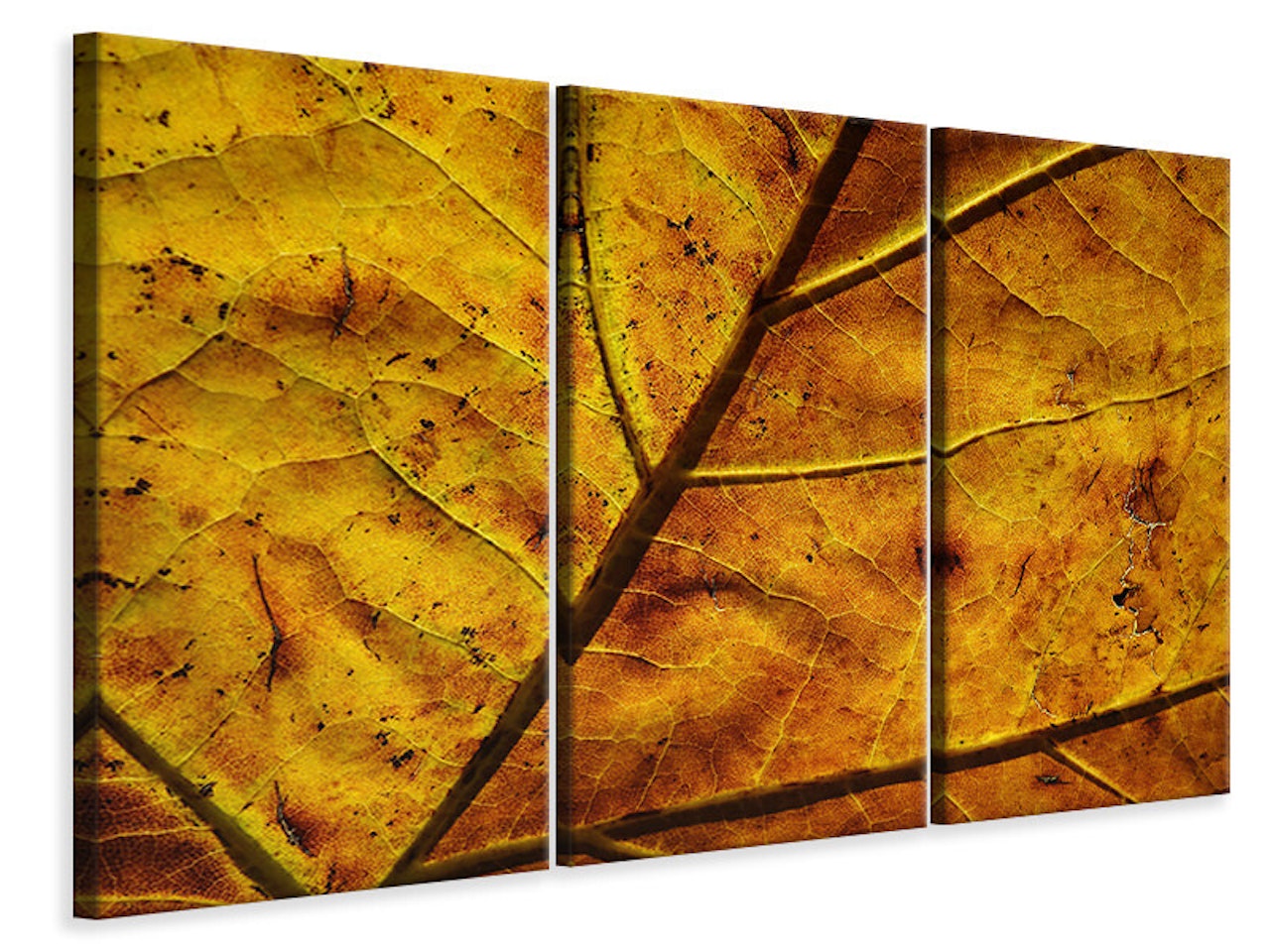 Ljuddämpande tavla -  The autumn leaf