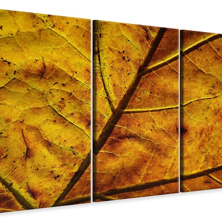Ljuddämpande tavla -  The autumn leaf