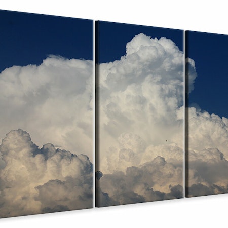Ljuddämpande tavla -  The cumulus cloud