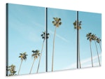 Ljuddämpande tavla -  A sky full of palm trees