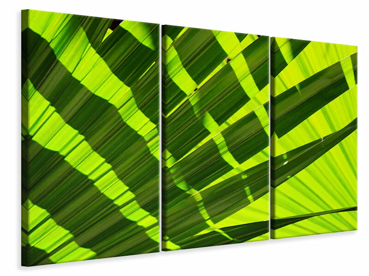 Ljuddämpande tavla -  The palm leaf in XL