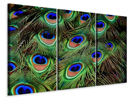 Ljuddämpande tavla -  Peacock feathers XXL