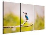 Ljuddämpande tavla -  The kingfisher