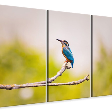 Ljuddämpande tavla -  The kingfisher