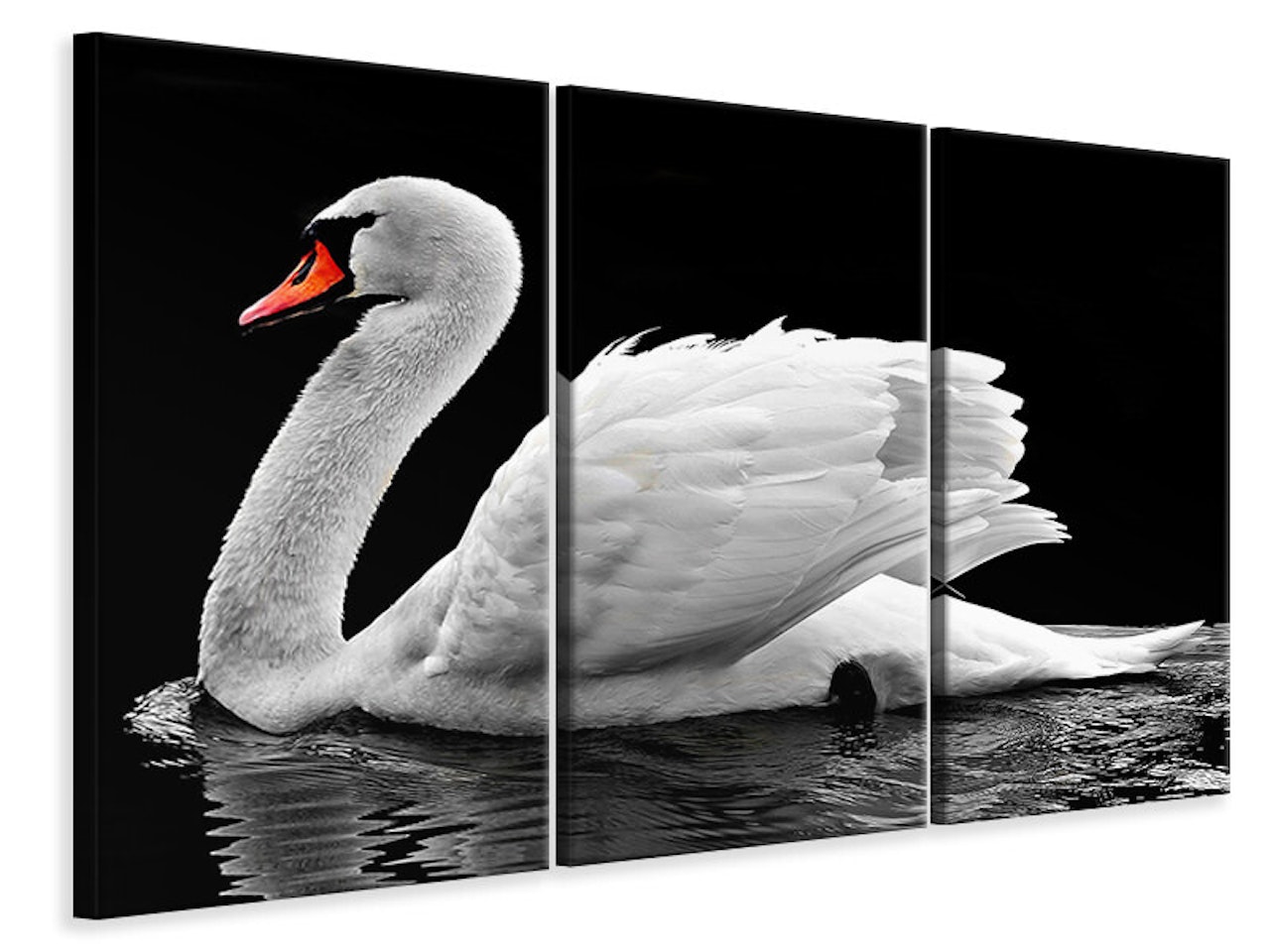 Ljuddämpande tavla -  The graceful swan
