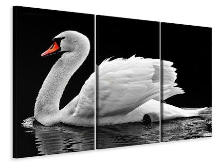Ljuddämpande tavla -  The graceful swan