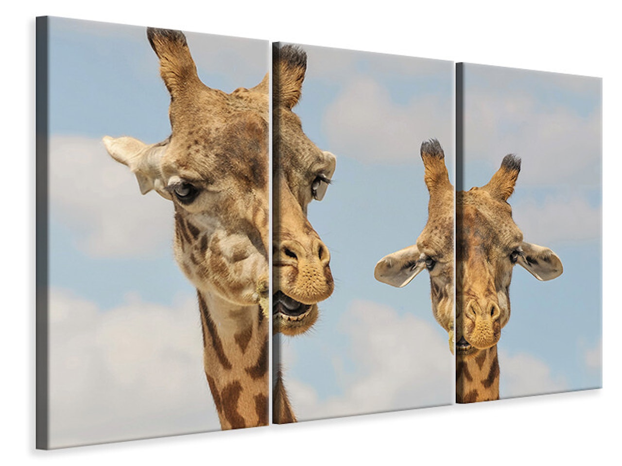 Ljuddämpande tavla -  2 giraffes