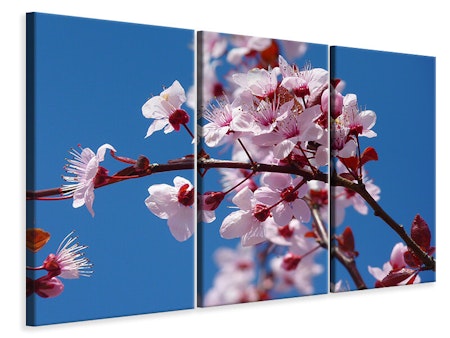 Ljuddämpande tavla -  The almond blossom