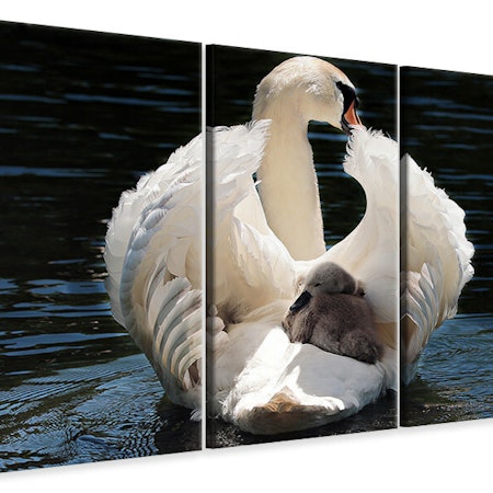 Ljuddämpande tavla -  Mom and baby swan