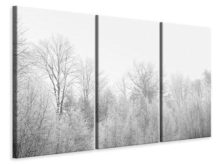 Ljuddämpande tavla -  Birches in the snow