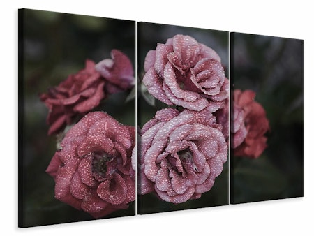 Ljuddämpande tavla -  Romantic roses