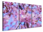 Ljuddämpande tavla -  Gorgeous cherry blossom
