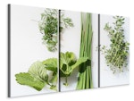 Ljuddämpande tavla -  Fresh herbs
