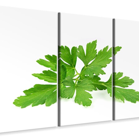 Ljuddämpande tavla -  Leaves of parsley