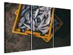 Ljuddämpande tavla -  Fish in boxes