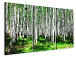 Ljuddämpande tavla -  Summerly Birch Forest
