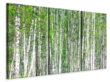 Ljuddämpande tavla -  The Birch Forest