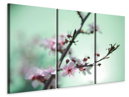 Ljuddämpande tavla -  Beautiful Japanese Cherry Blossom