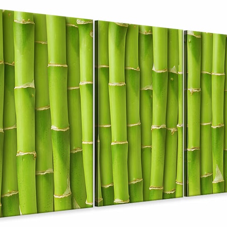 Ljuddämpande tavla -  Bamboo Wall