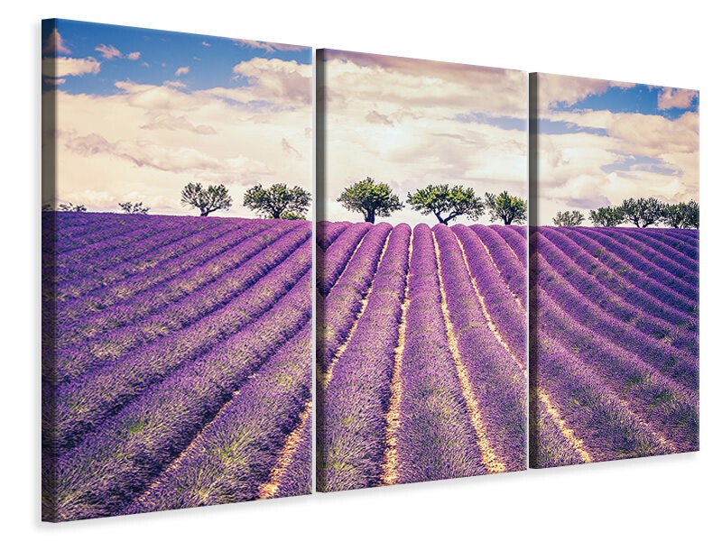Ljuddämpande tavla -  The Lavender Field