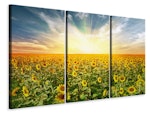 Ljuddämpande tavla -  A Field Full Of Sunflowers