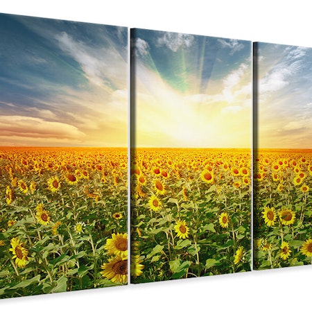 Ljuddämpande tavla -  A Field Full Of Sunflowers