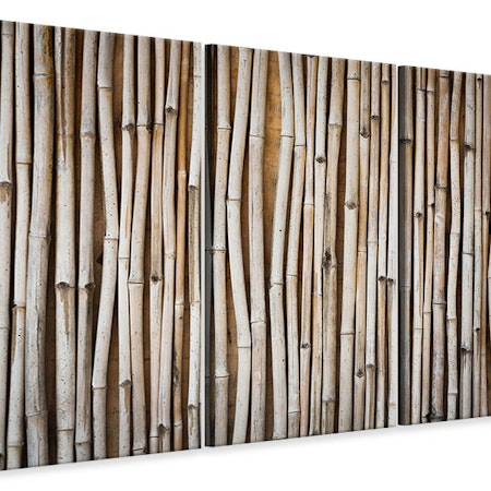 Ljuddämpande tavla -  Dried Bamboos