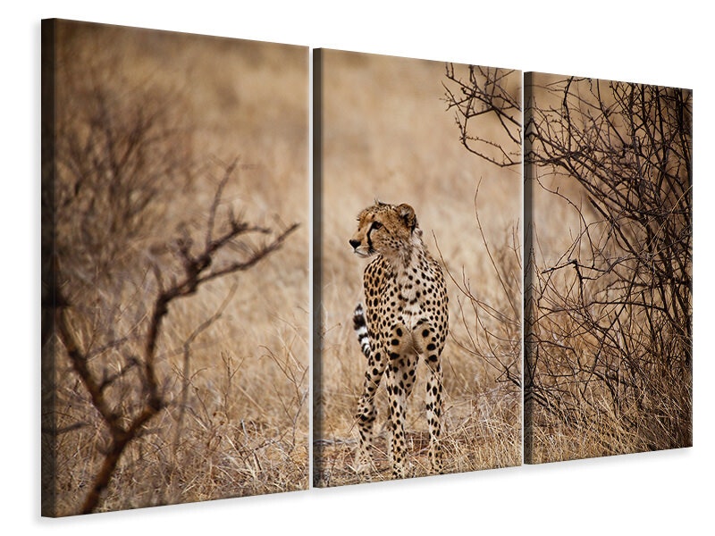 Ljuddämpande tavla -  Elegant Cheetah